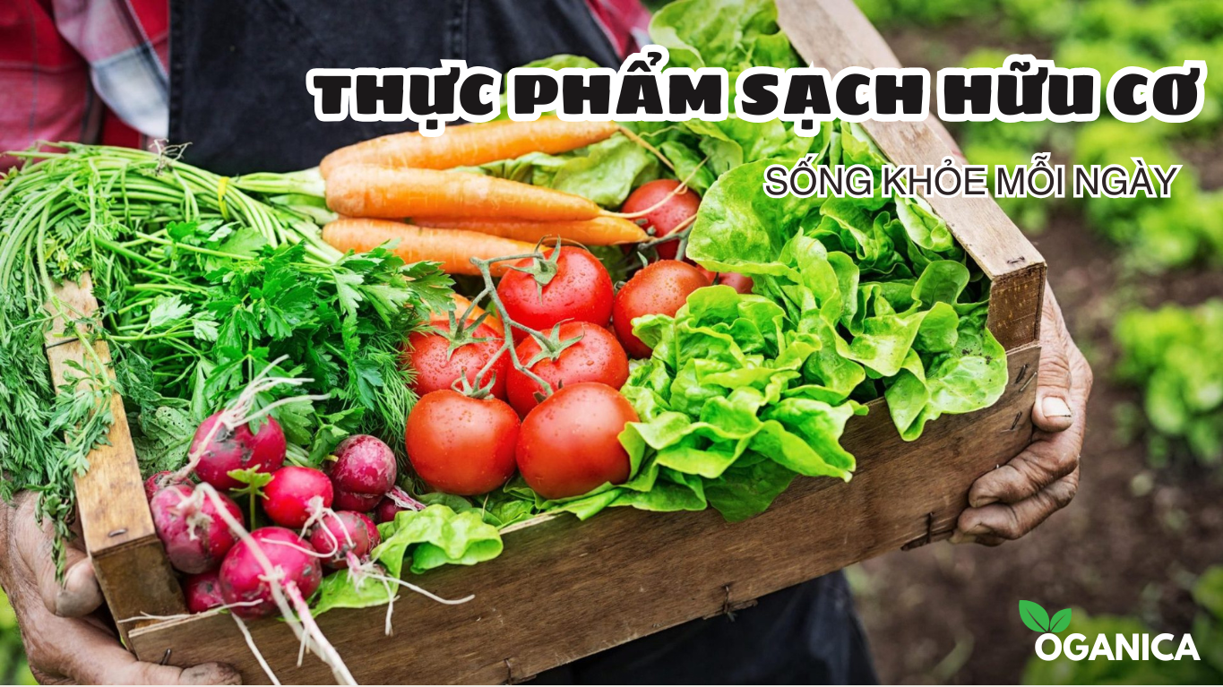 Cơ thể bạn xứng đáng với điều tốt nhất
